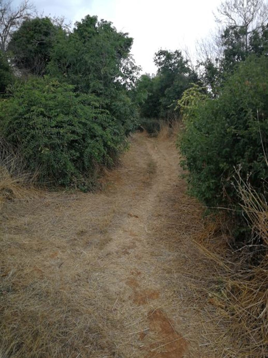 Terreno agricolo, Pola, 7650 m2