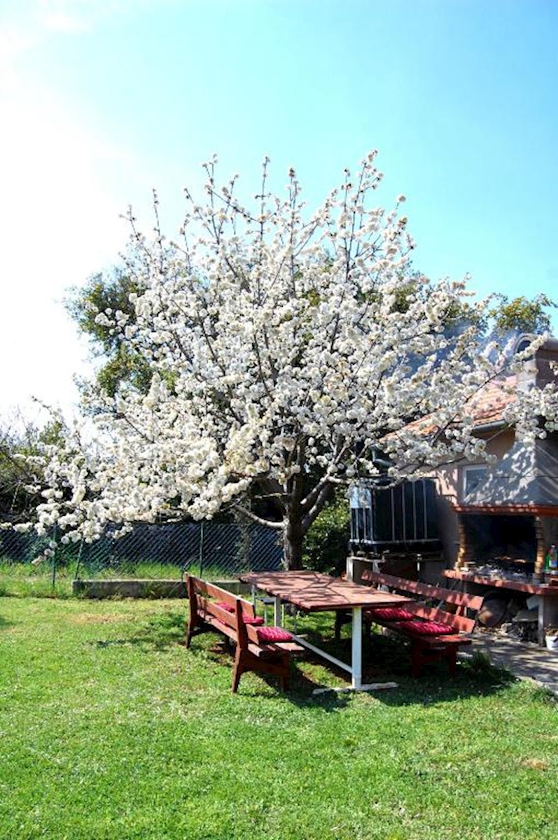 Casa in affitto a 200 m dal mare (vendita)