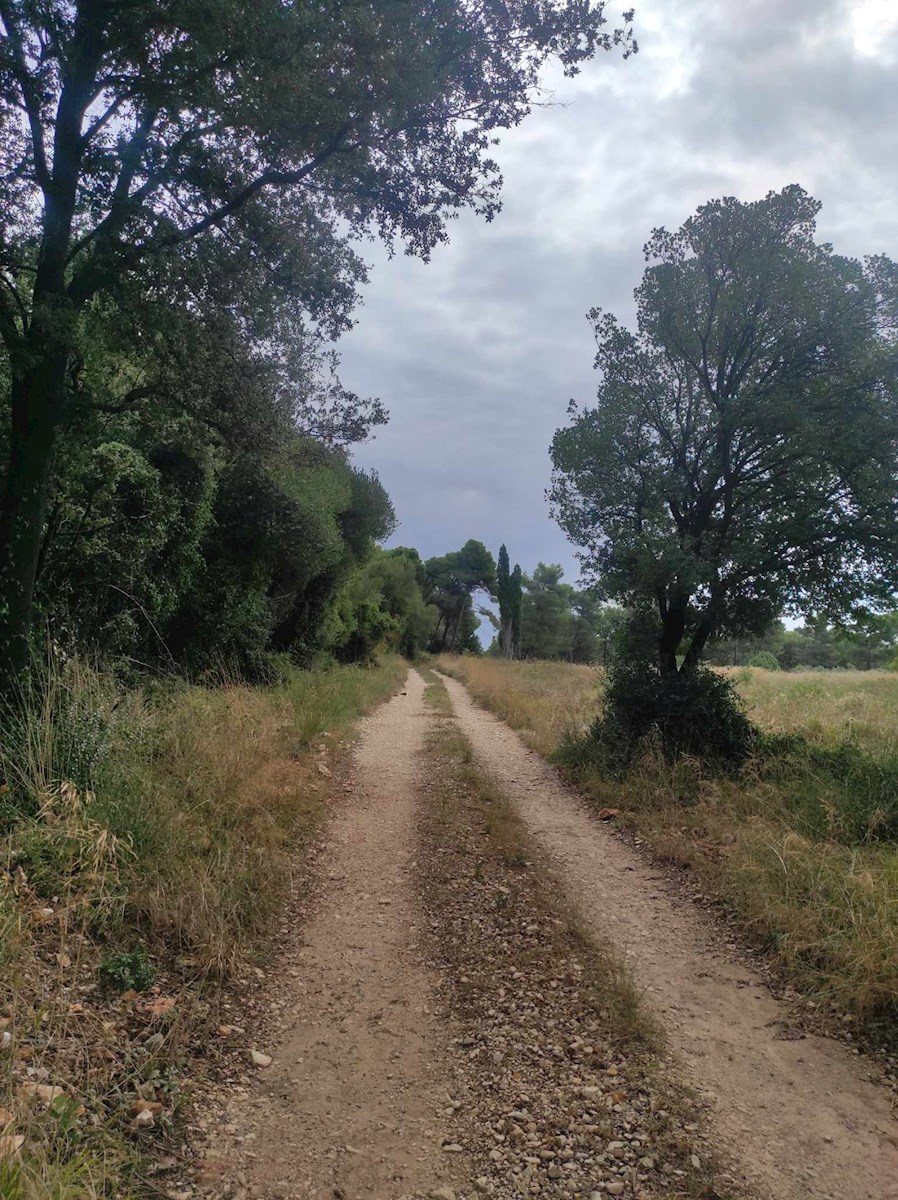 Terreno agricolo, Medolino, 2200 m2