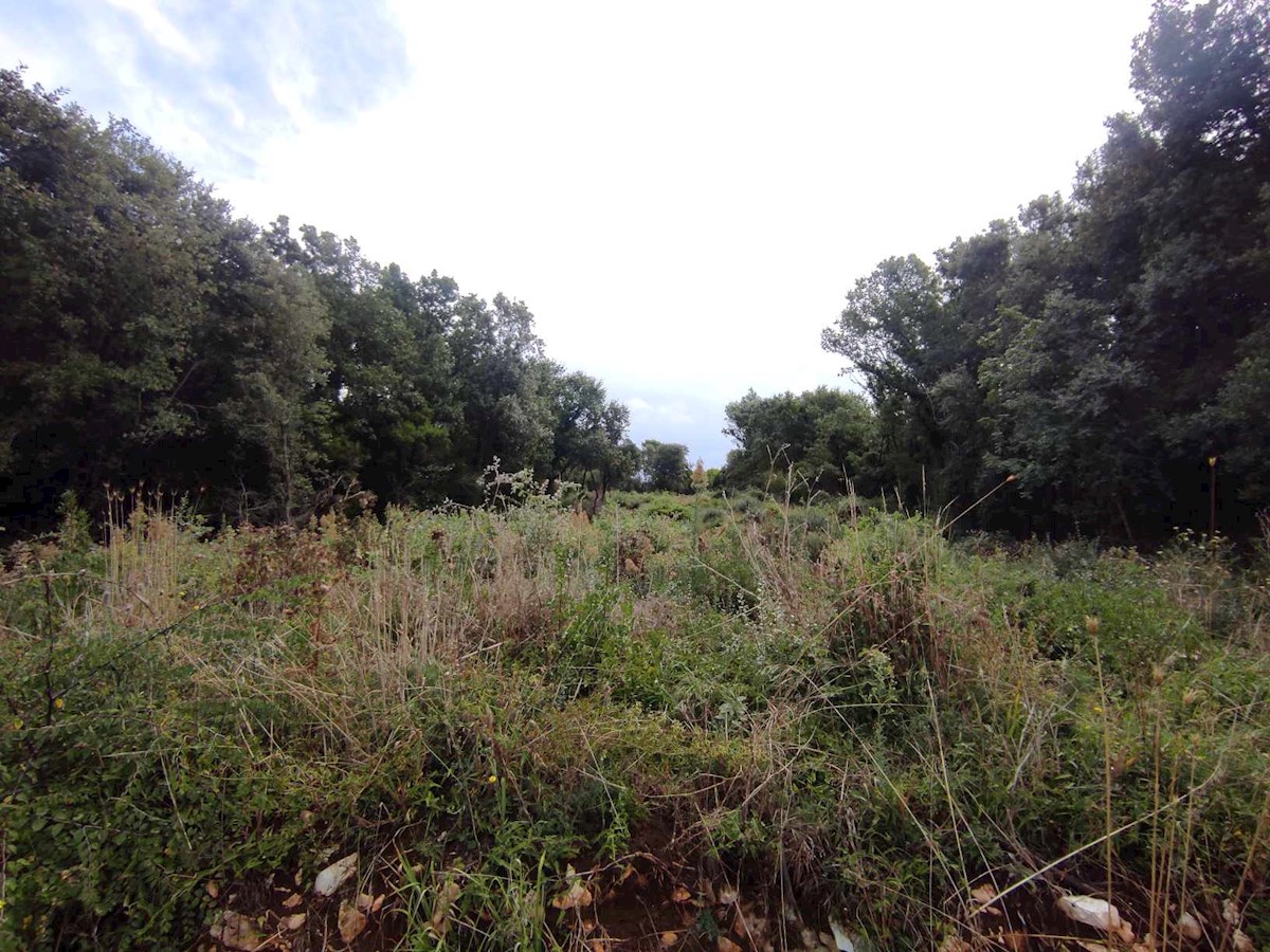 Terreno agricolo, Medolino, 2200 m2