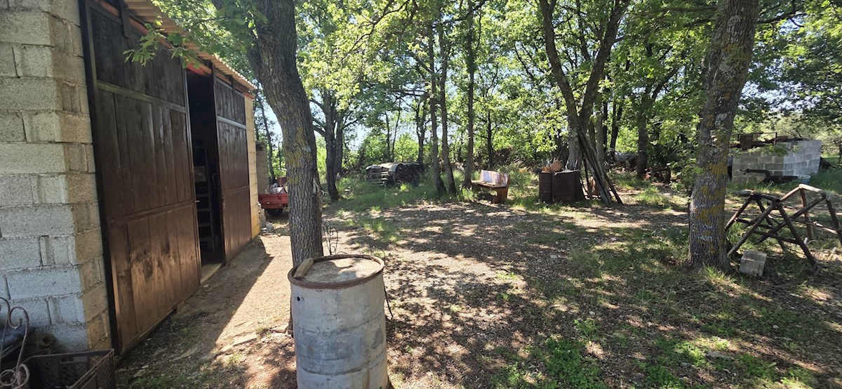 Peruški – Grande appezzamento di terreno con edificabilità legalizzata, a 1 km dal mare – pace, natura e potenziale