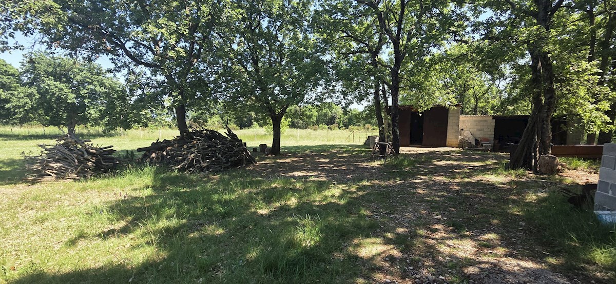 Peruški – Grande appezzamento di terreno con edificabilità legalizzata, a 1 km dal mare – pace, natura e potenziale