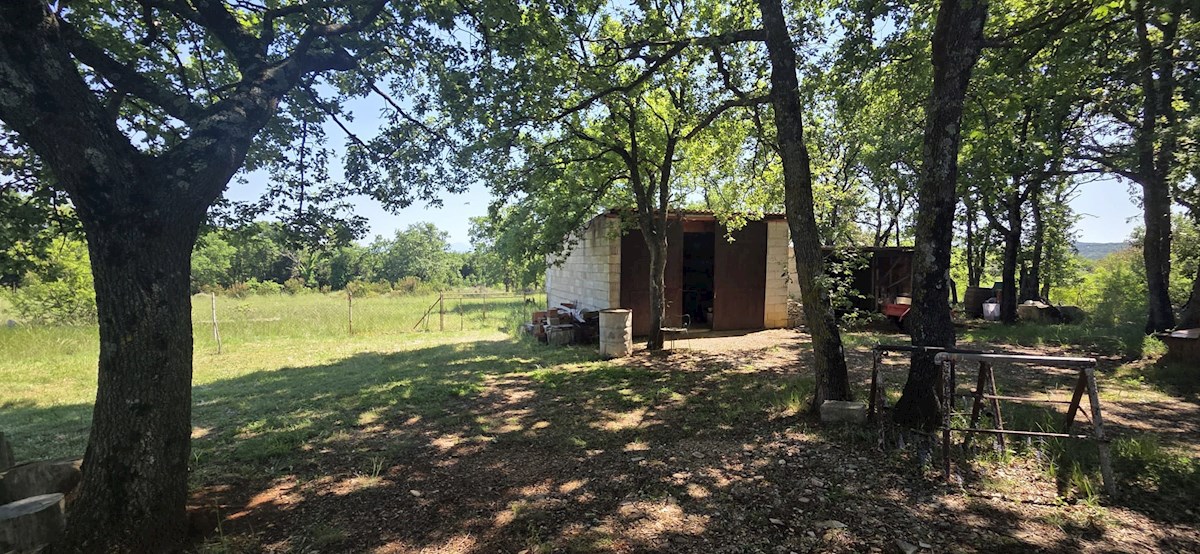 Peruški – Grande appezzamento di terreno con edificabilità legalizzata, a 1 km dal mare – pace, natura e potenziale