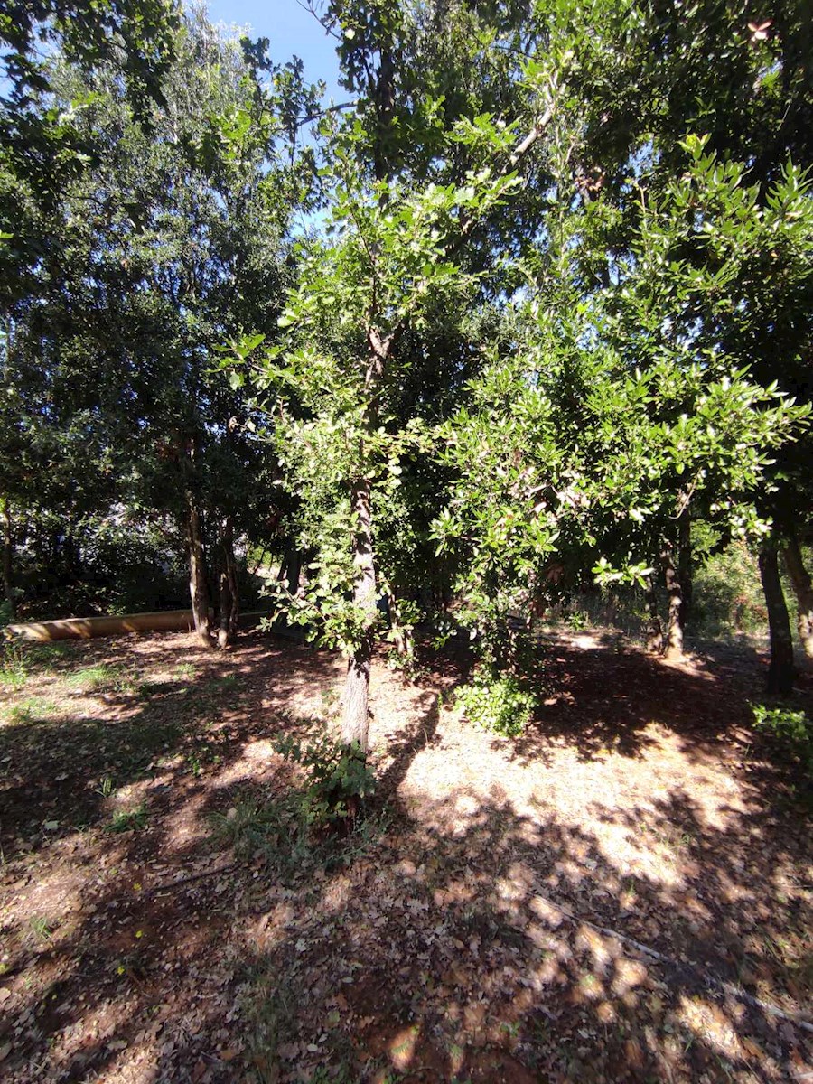 Casolare in costruzione - Šišan