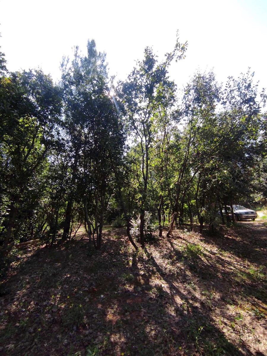 Casolare in costruzione - Šišan