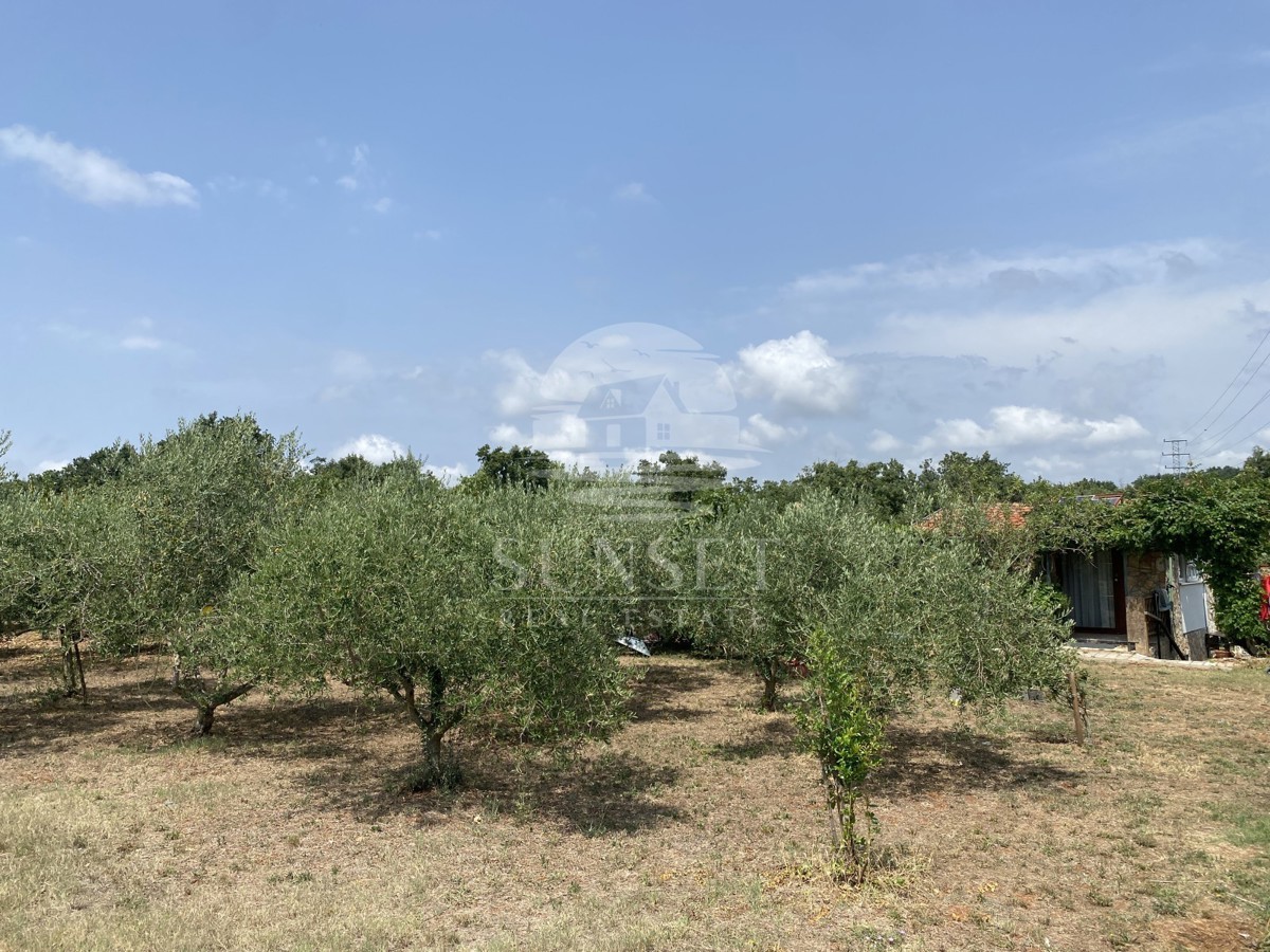 TERRENO AGRICOLO CON EDIFICIO LEGALIZZATO E ULIVI