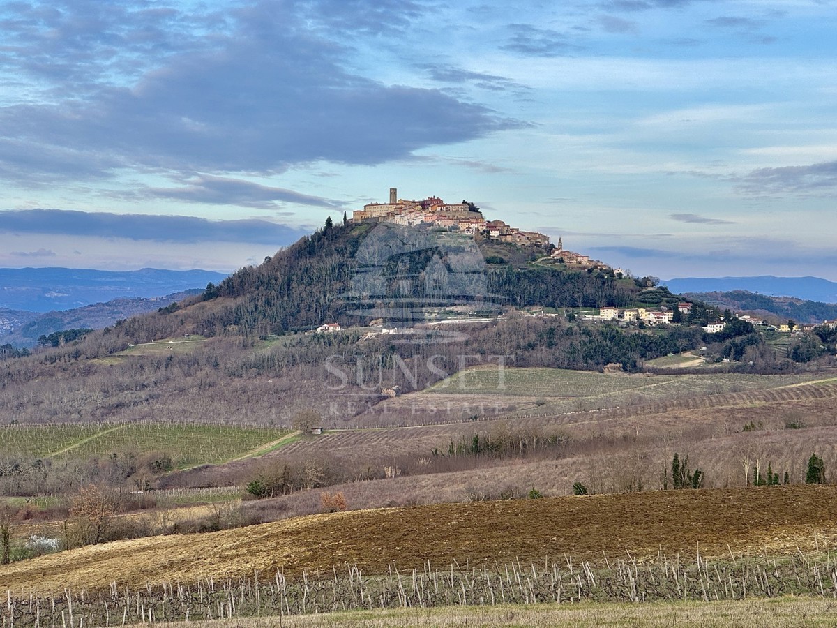 CASA CON UNA VISTA SPLENDIDA SU MOTOVUN E I VIGNETI CIRCONDANTI