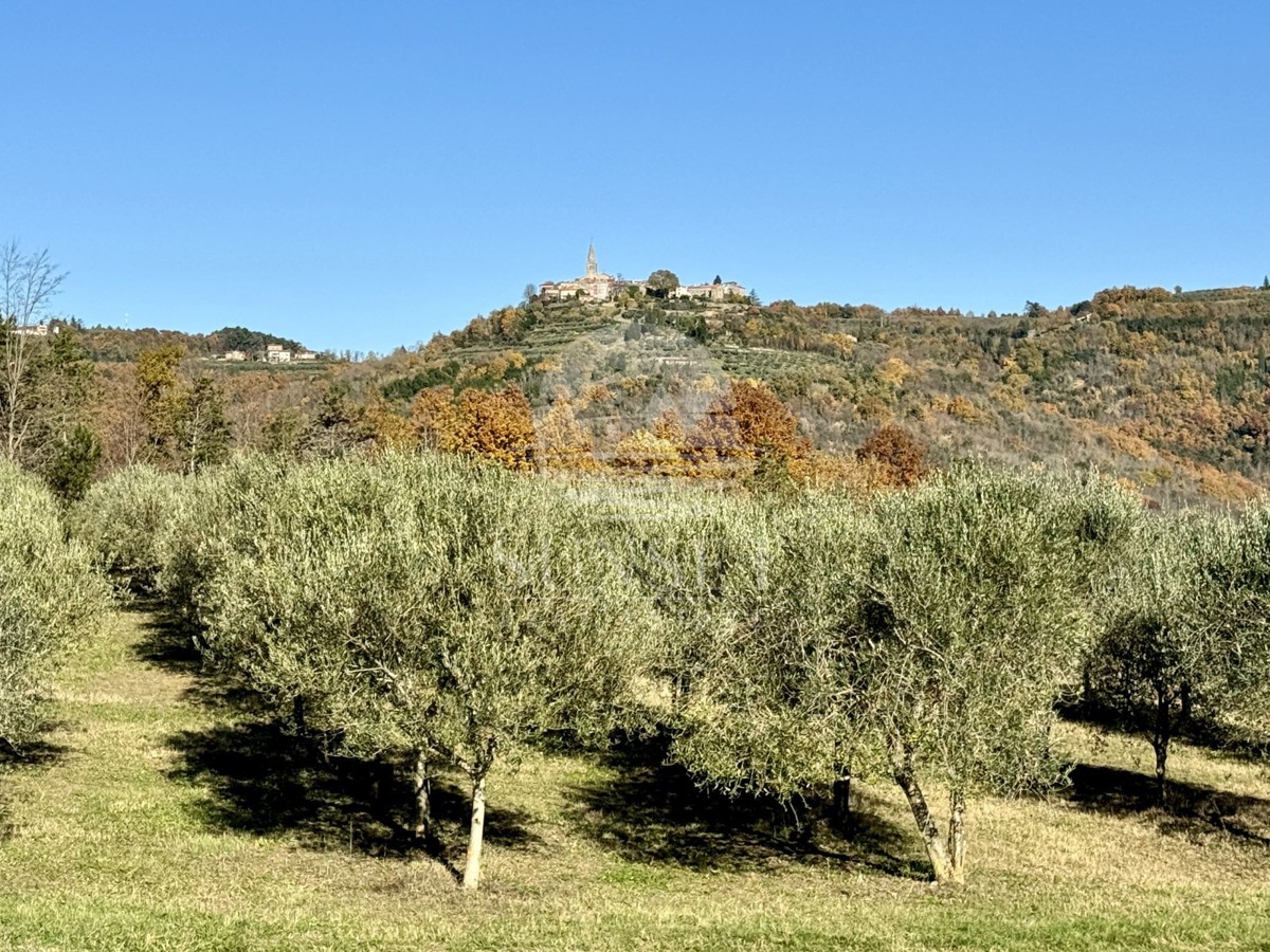 CASA CON VISTA PANORAMICA SU GROŽNJAN E MONTONA