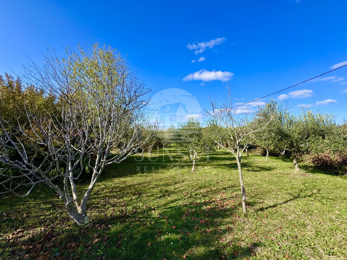 AFFASCINANTE CASA PER IL FINE SETTIMANA CON VISTA SU OPRTALJ – PACE, ULIVI E ATMOSFERA ISTRIANA