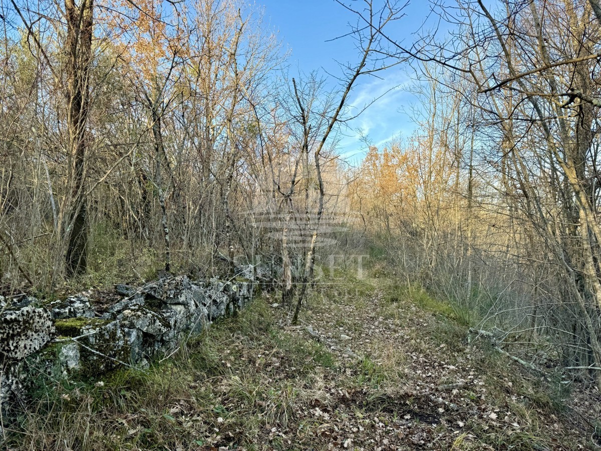 Istria, Zona di Buie – Ampio Terreno di 18.000 m² con Struttura Registrata di 40 m²