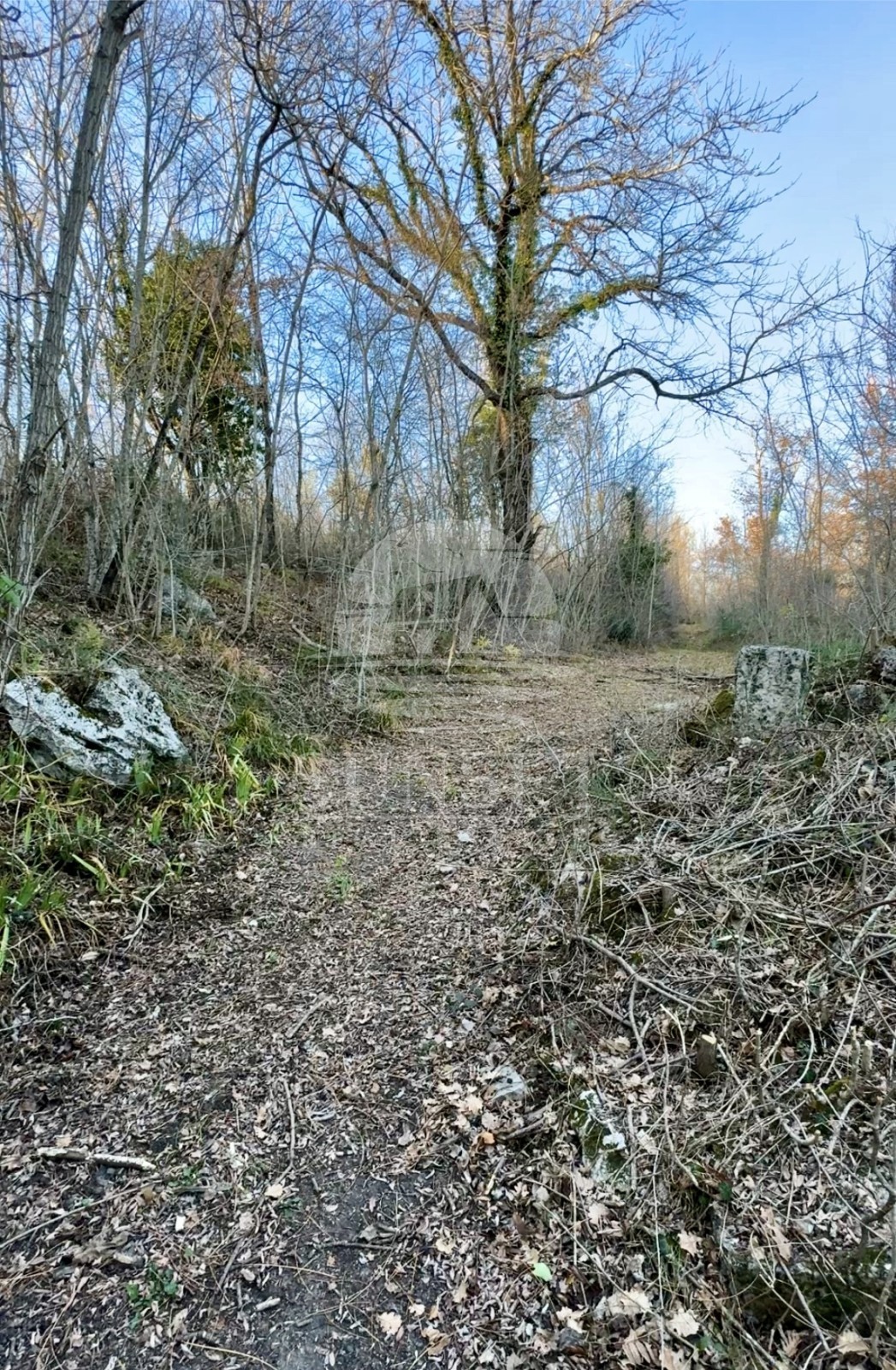 Istria, Zona di Buie – Ampio Terreno di 18.000 m² con Struttura Registrata di 40 m²