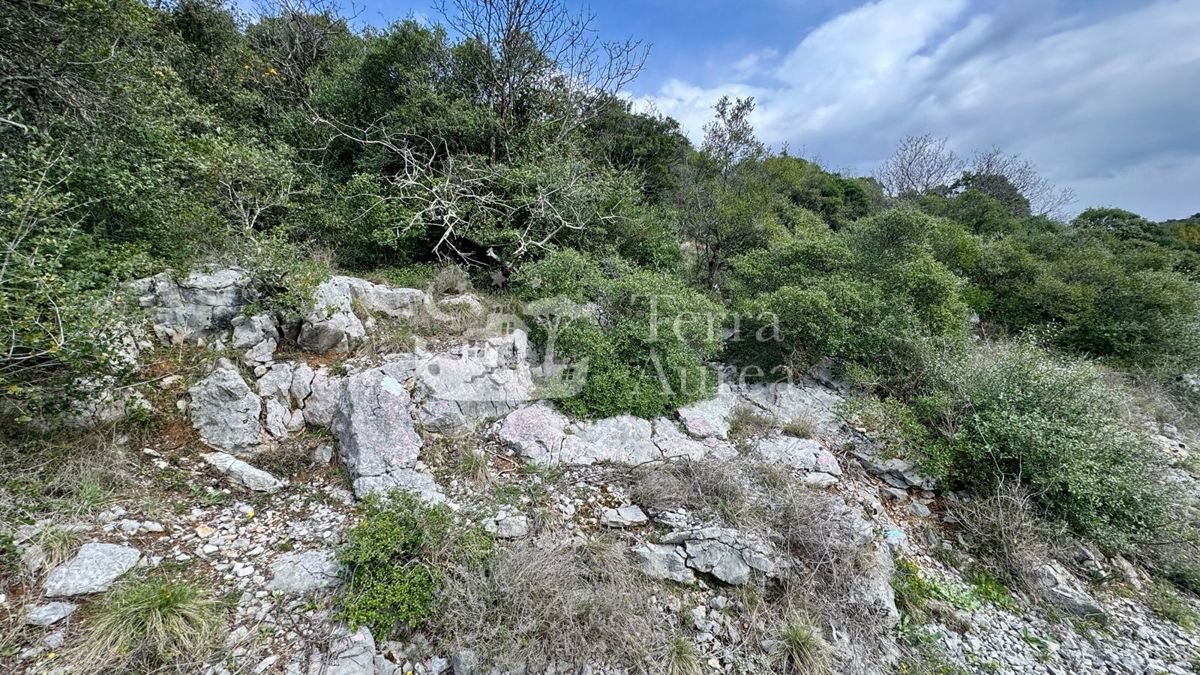 Terreno agriculturale Krk, 3.700m2