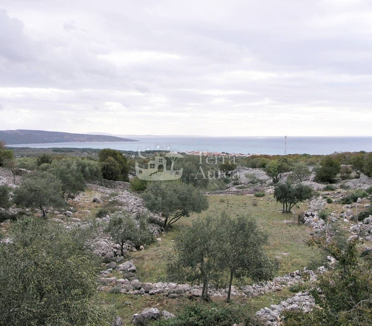 Grande uliveto con permesso di costruzione e vista mare, isola di Krk