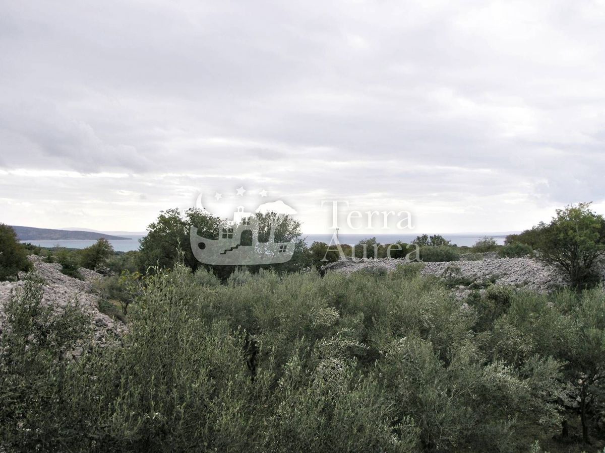 Grande uliveto con permesso di costruzione e vista mare, isola di Krk