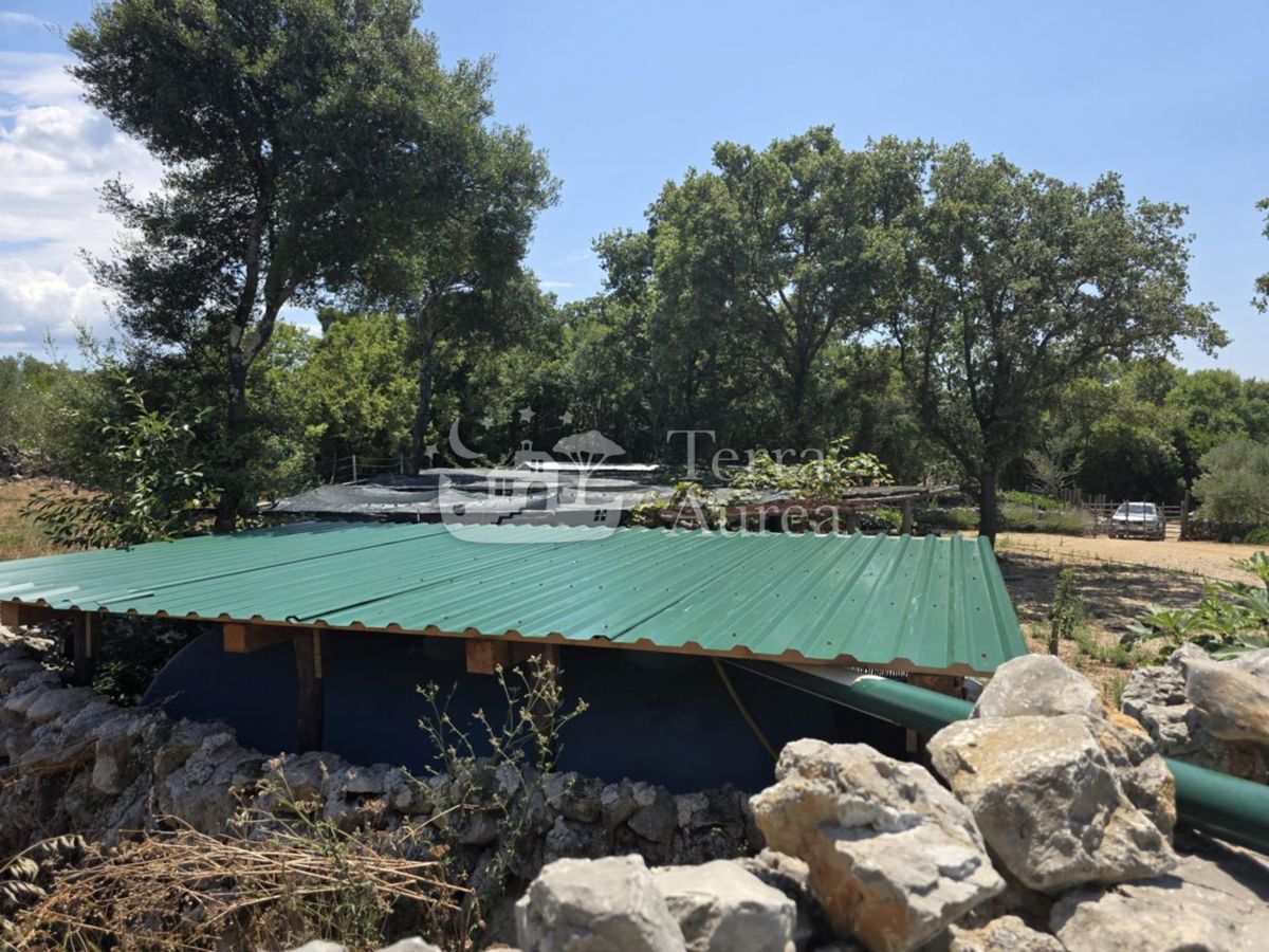 Terreno agriculturale Krk, 2.500m2