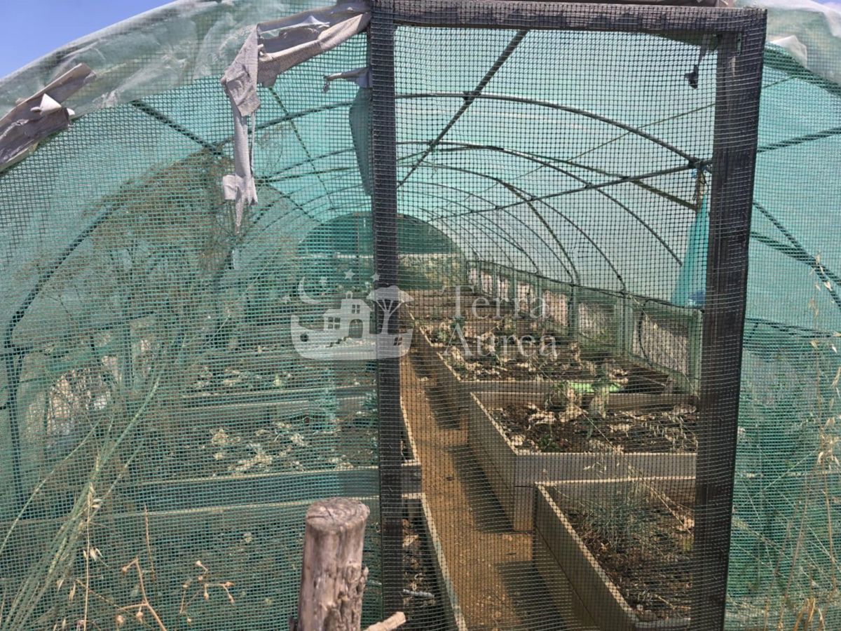 Terreno agriculturale Krk, 2.500m2