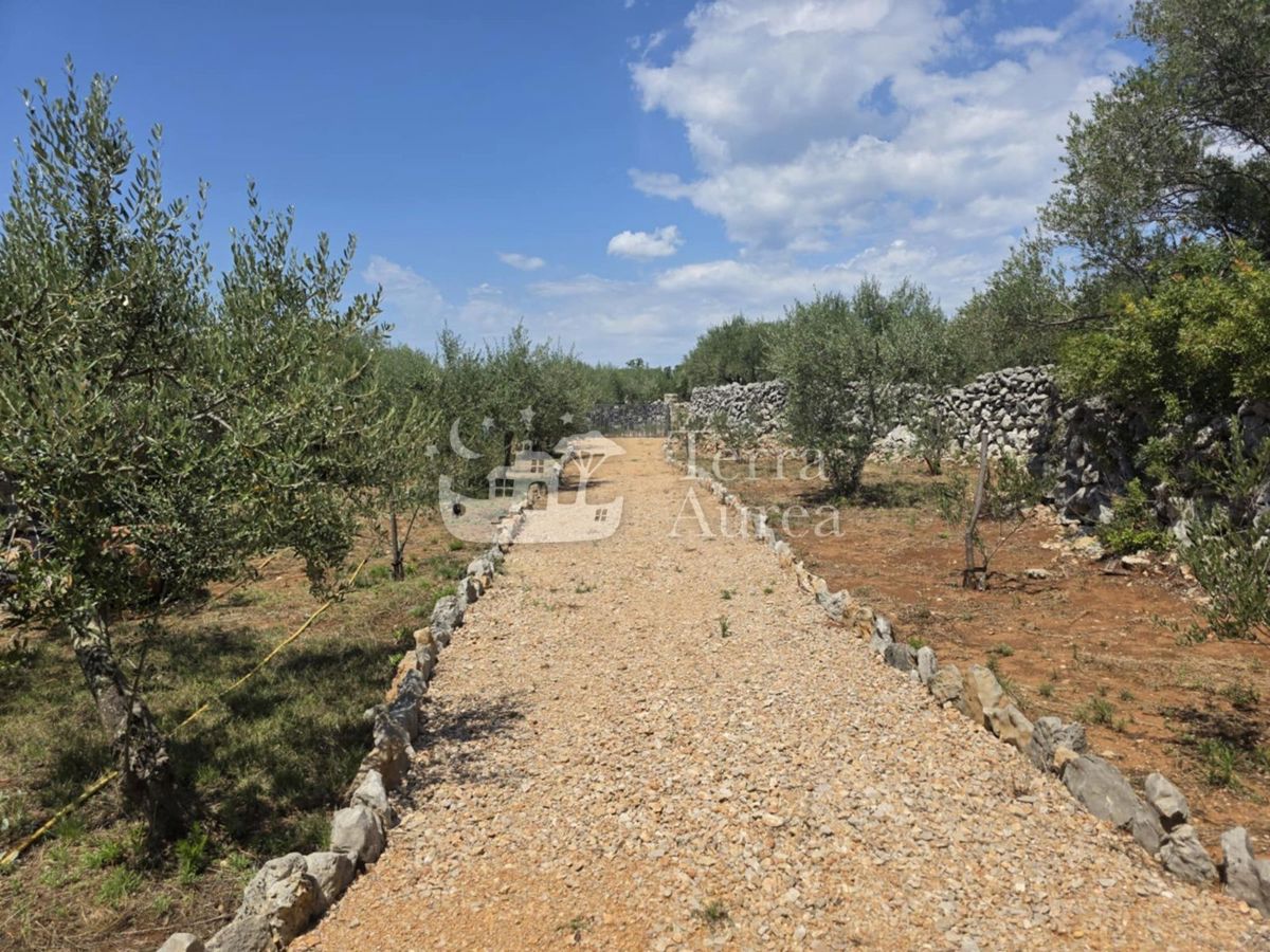 Terreno agriculturale Krk, 2.500m2