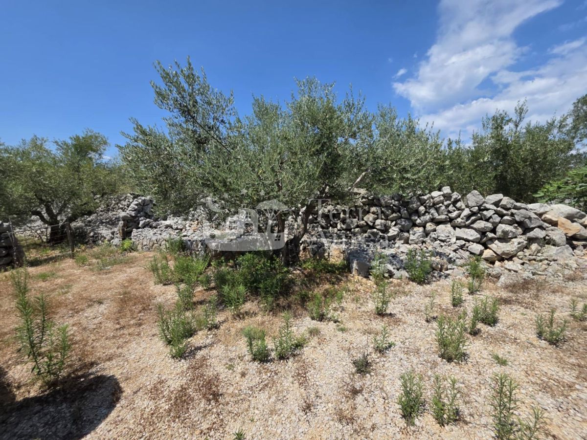 Terreno agriculturale Krk, 2.500m2