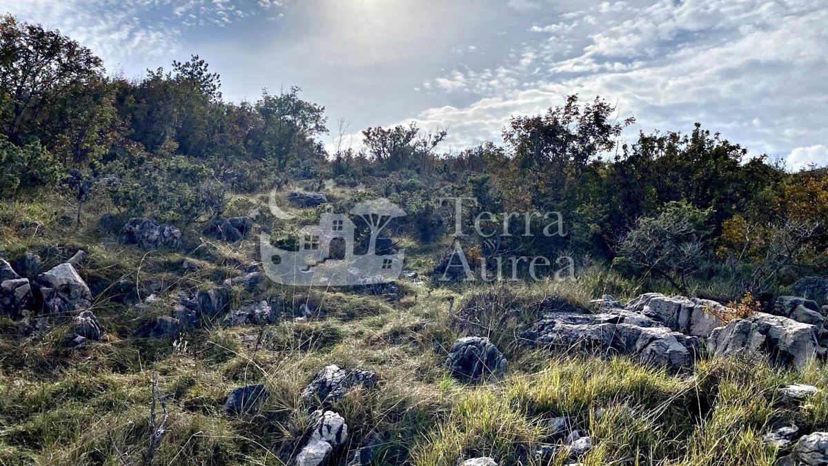 Ampio terreno agricolo con accesso al mare, Soline, isola di Krk