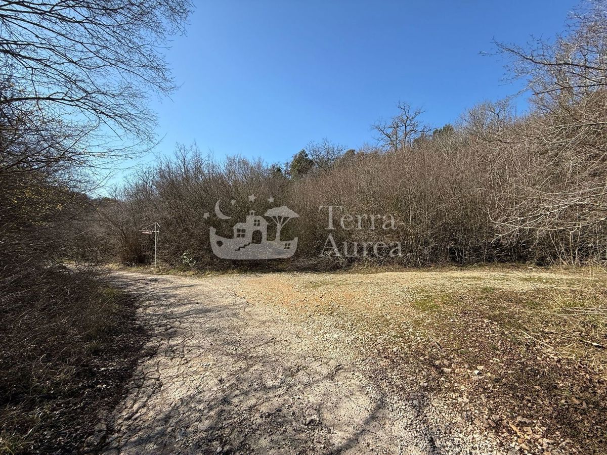 Terreno agriculturale Krk, 20.753m2