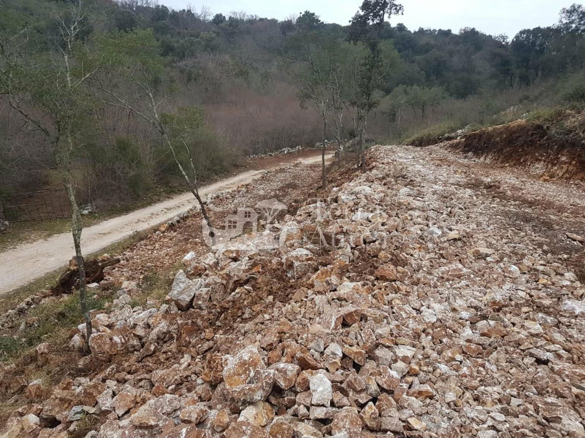 Terreno agriculturale Krk, 12.556m2