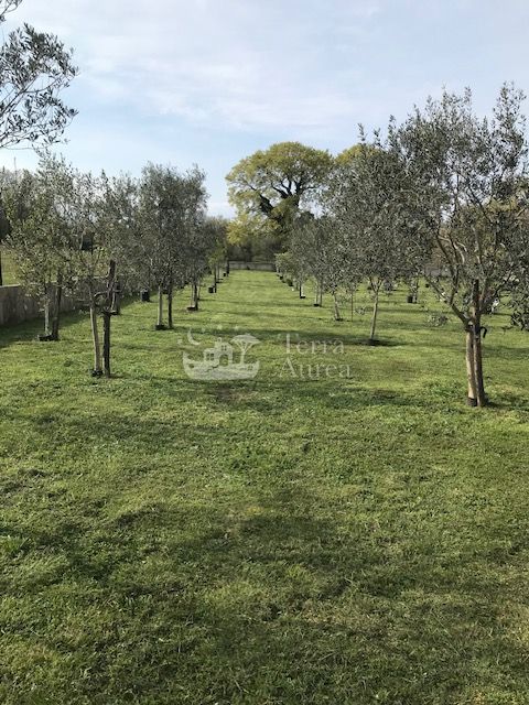 Casa Malinska, Malinska-Dubašnica, 2.670m2