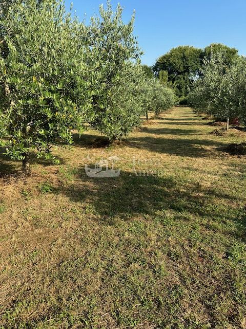 Casa Malinska, Malinska-Dubašnica, 2.670m2