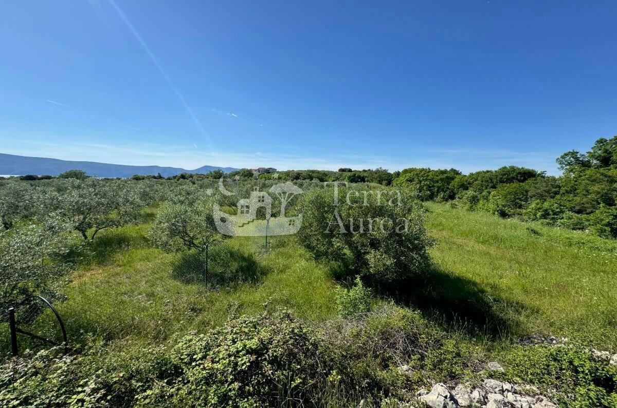 Terreno agriculturale Krk, 34.500m2