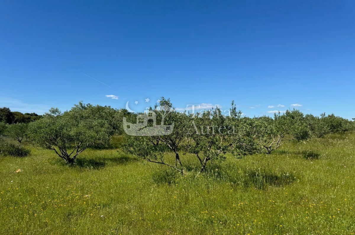 Terreno agriculturale Krk, 34.500m2