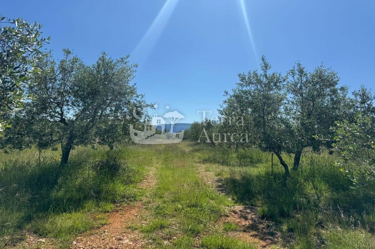 Terreno agriculturale Krk, 34.500m2