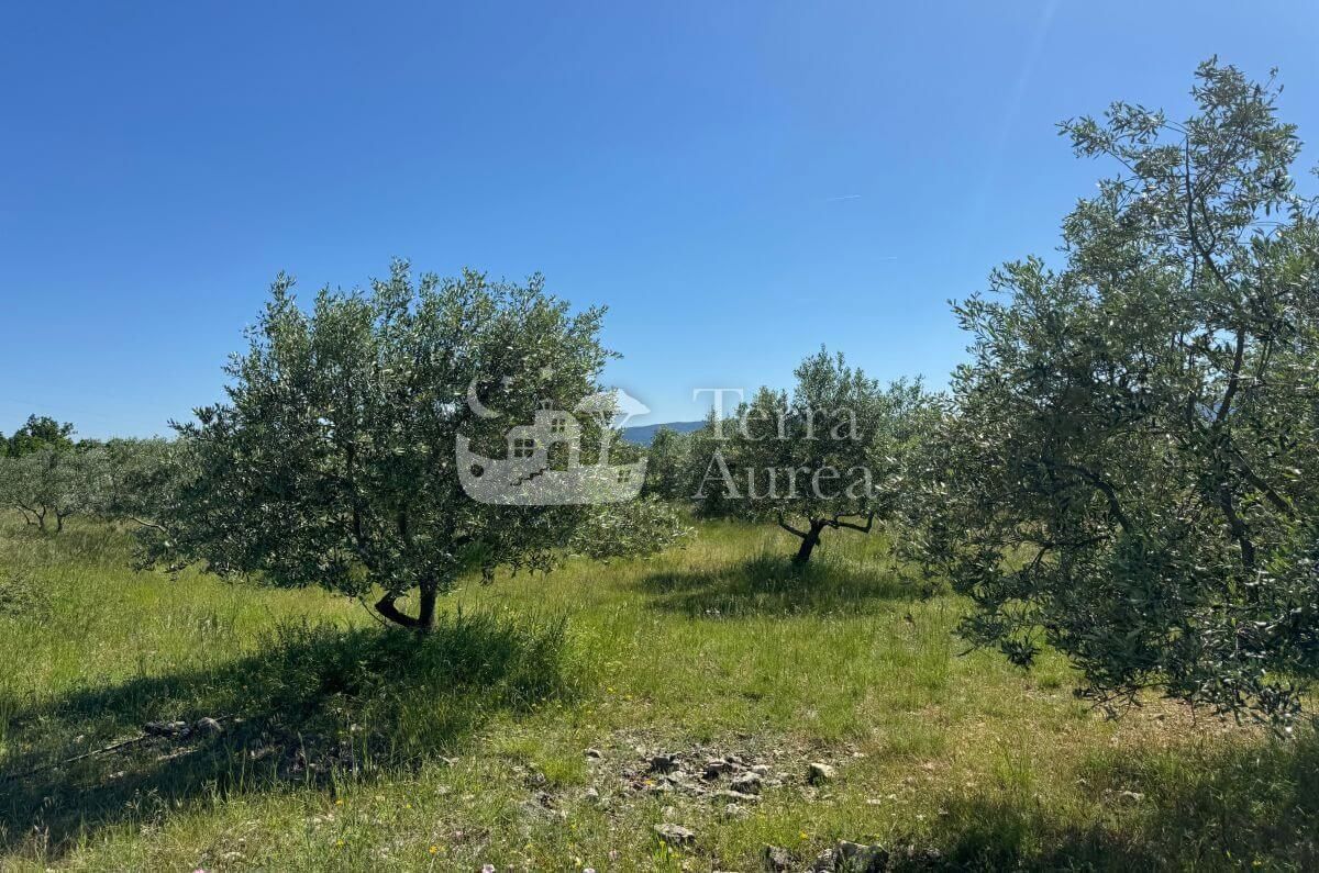 Terreno agriculturale Krk, 34.500m2