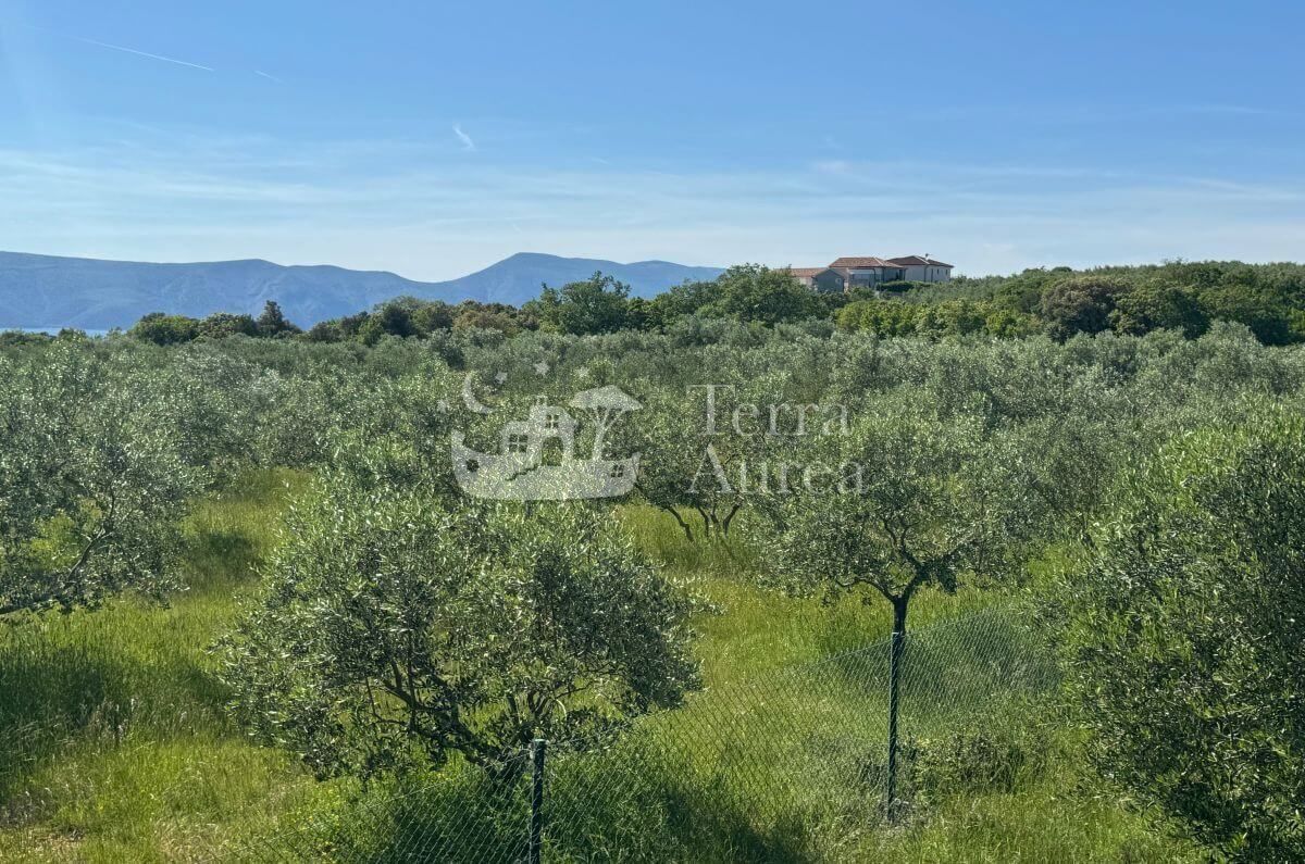 Terreno agriculturale Krk, 34.500m2
