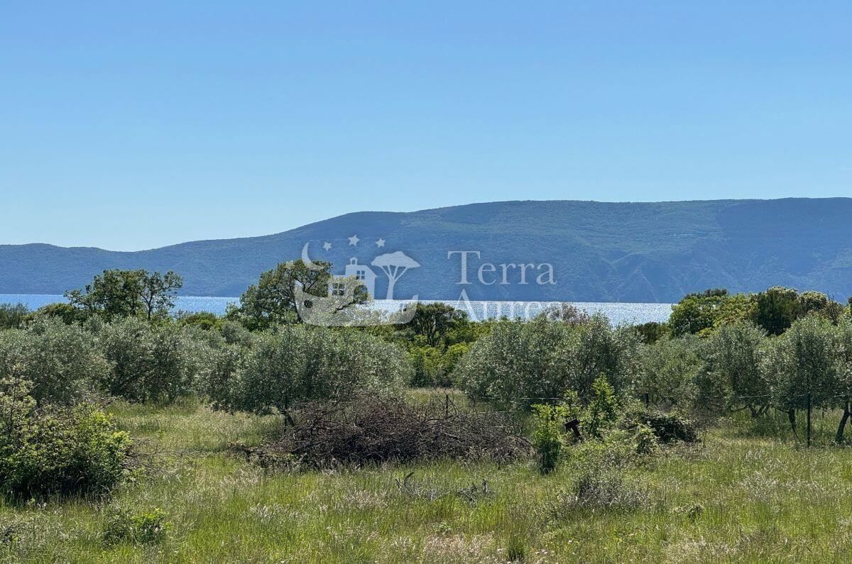 Terreno agriculturale Krk, 34.500m2