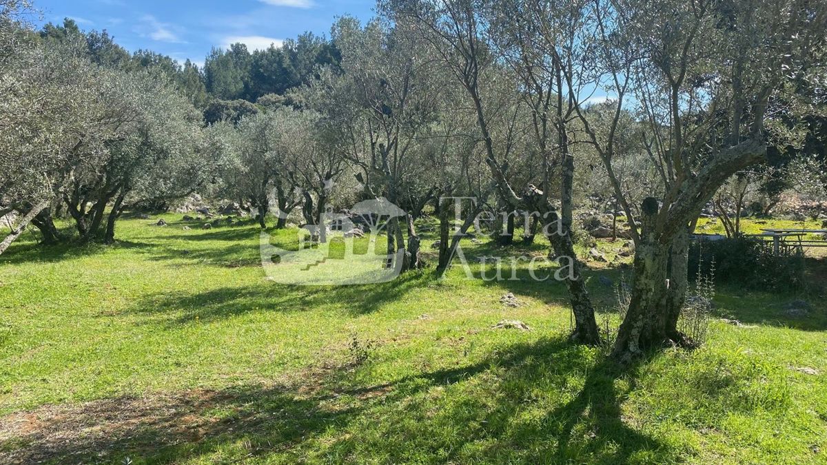 Grande terreno edificabile nella zona sportiva e ricreativa, Krk