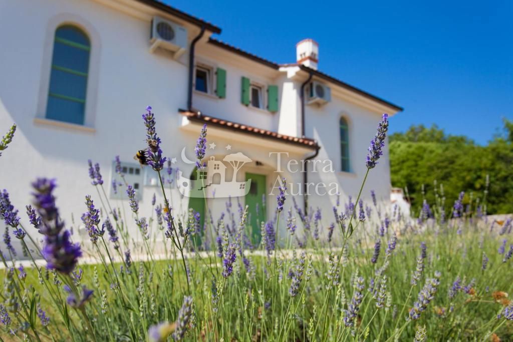 Casa Dobrinj, 230m2