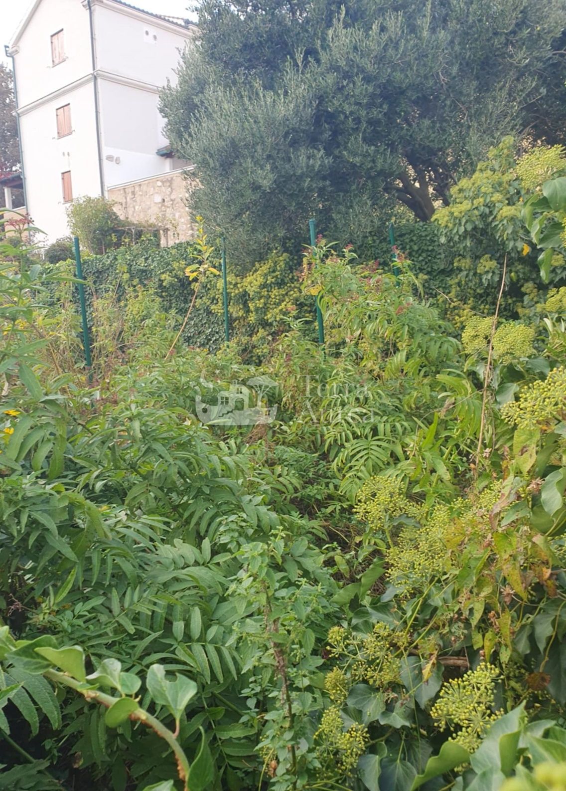 Vecchia casa Vrbnik, 66m2