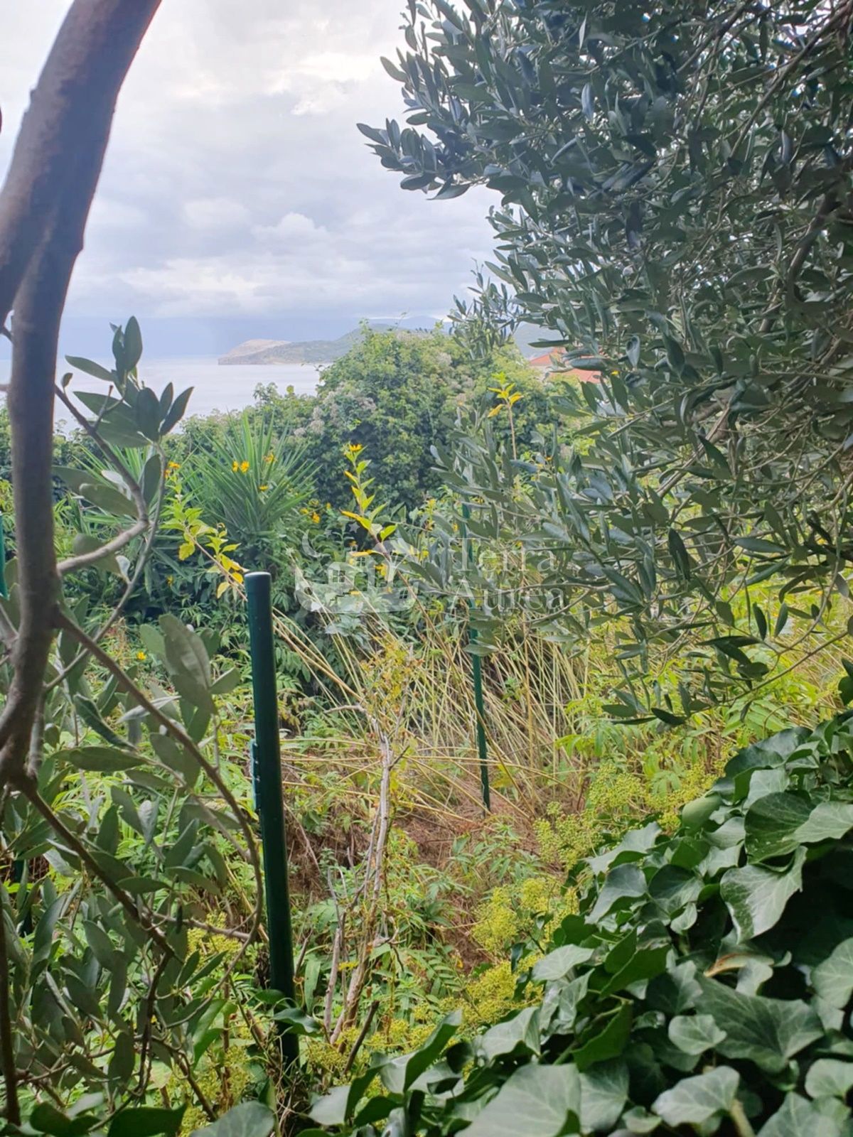 Vecchia casa Vrbnik, 66m2