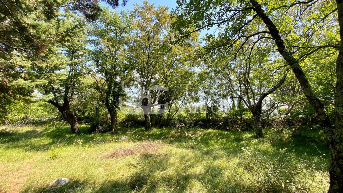 Terreno agriculturale Linardići, Krk, 6.000m2