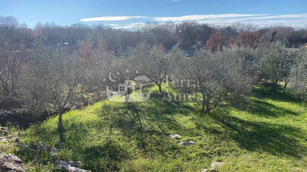 Terreno edificabile Malinska, Malinska-Dubašnica, 601m2