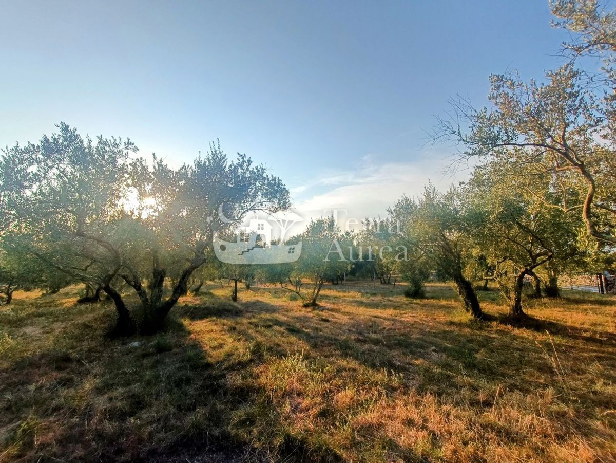 Terreno agriculturale Malinska, Malinska-Dubašnica, 3.000m2