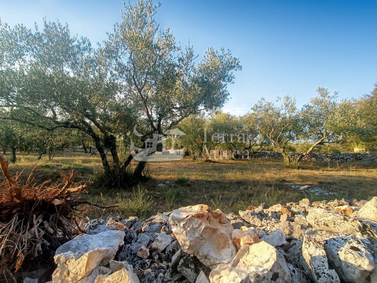 Terreno agriculturale Malinska, Malinska-Dubašnica, 3.000m2