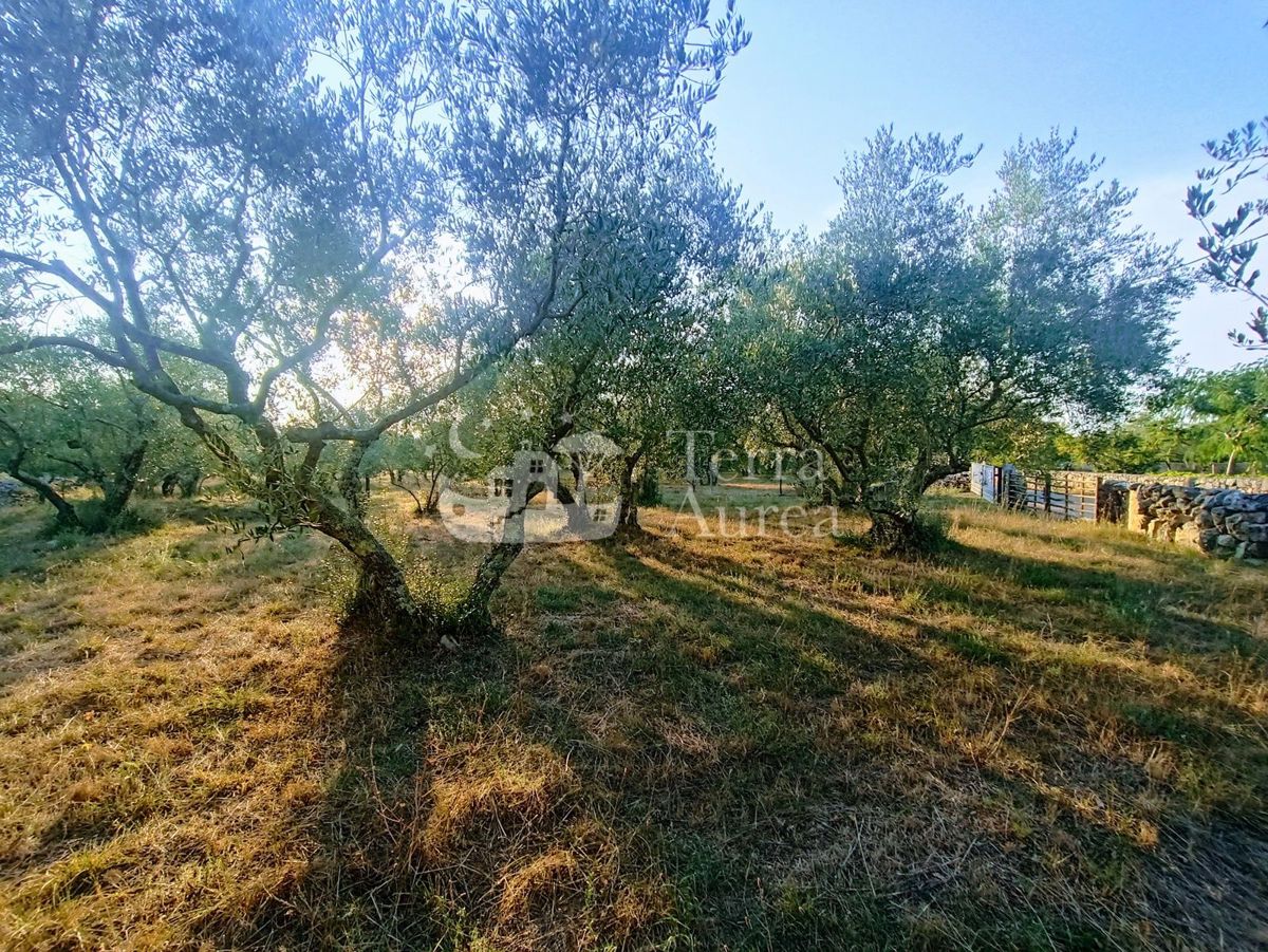 Terreno agriculturale Malinska, Malinska-Dubašnica, 3.000m2