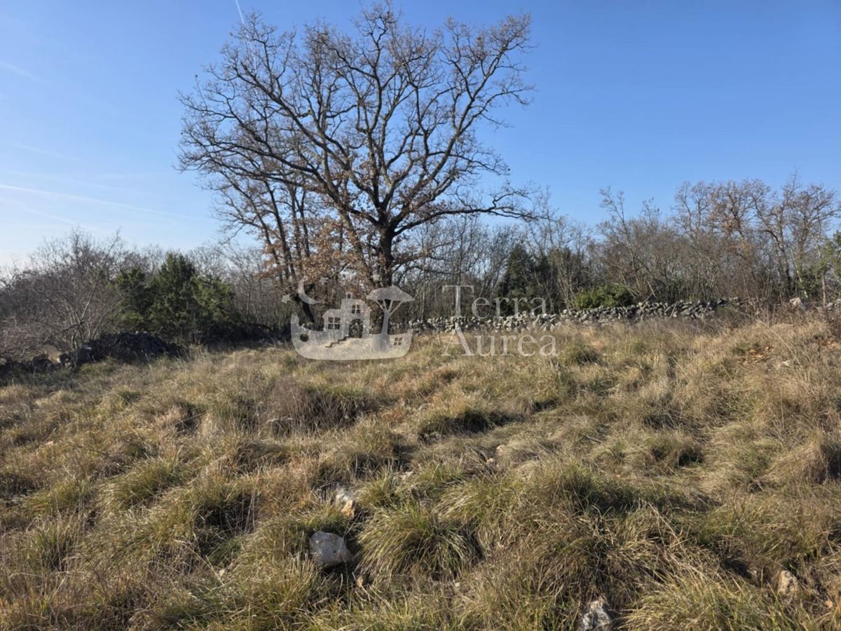 Terreno agriculturale Krk, 14.800m2