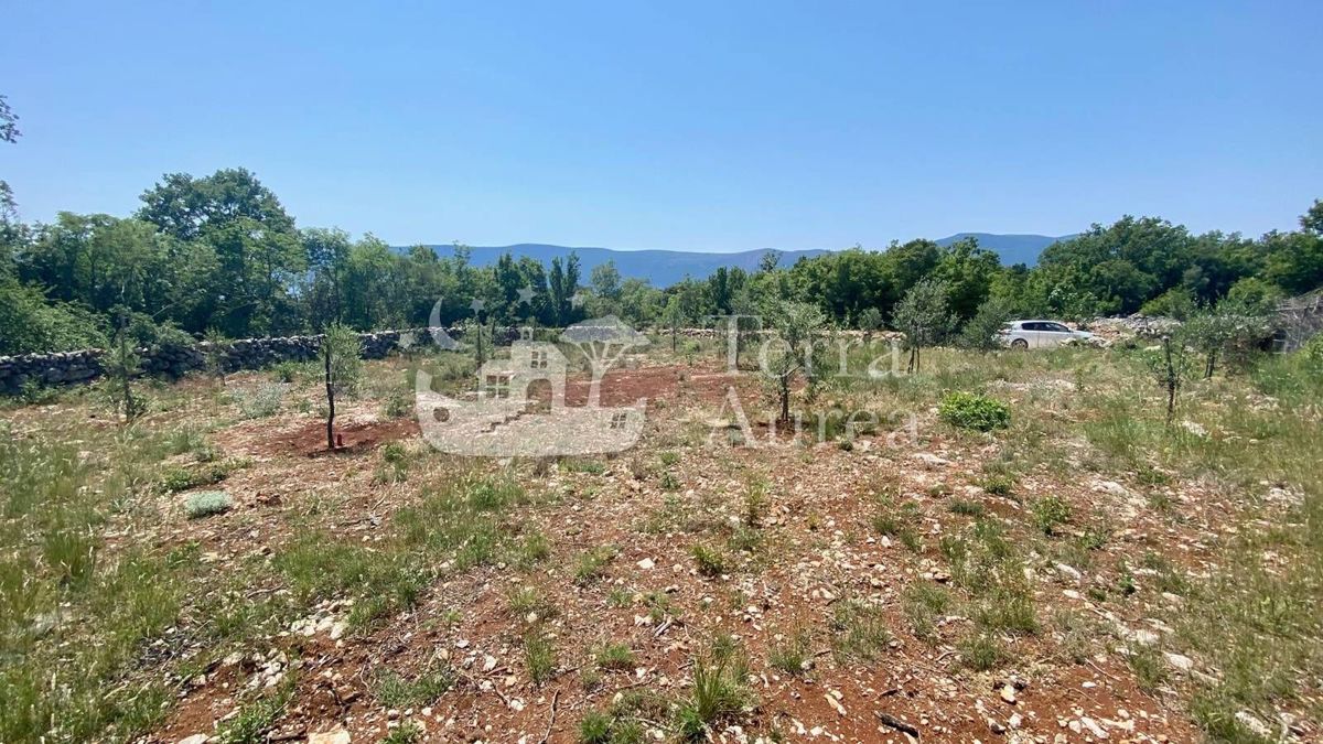 Terreno agriculturale Brzac, Krk, 2.900m2