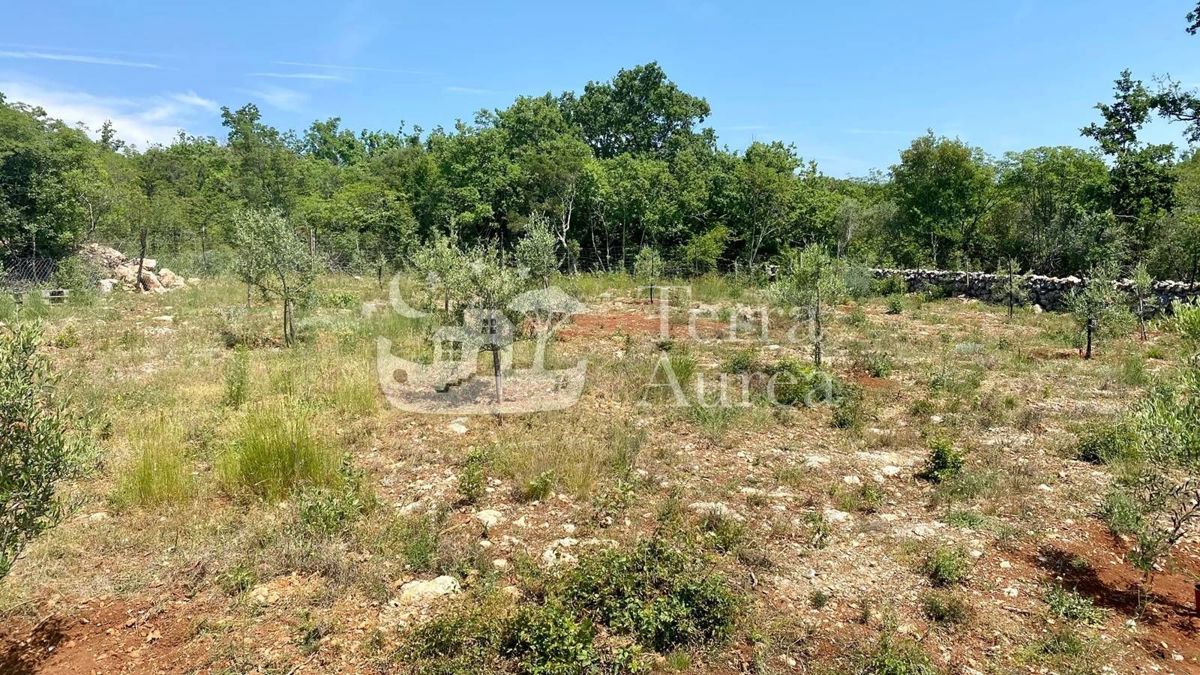 Terreno agriculturale Brzac, Krk, 2.900m2