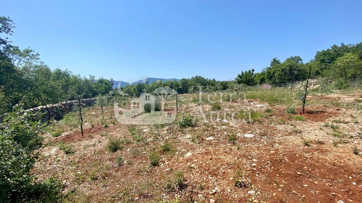 Terreno agriculturale Brzac, Krk, 2.900m2