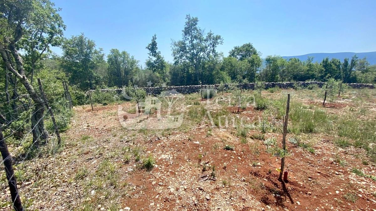 Terreno agriculturale Brzac, Krk, 2.900m2