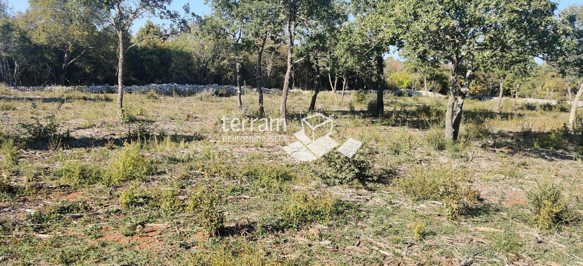 Istria, Valle, terreno agricolo 12400m2, POSIZIONE TOP, vendita