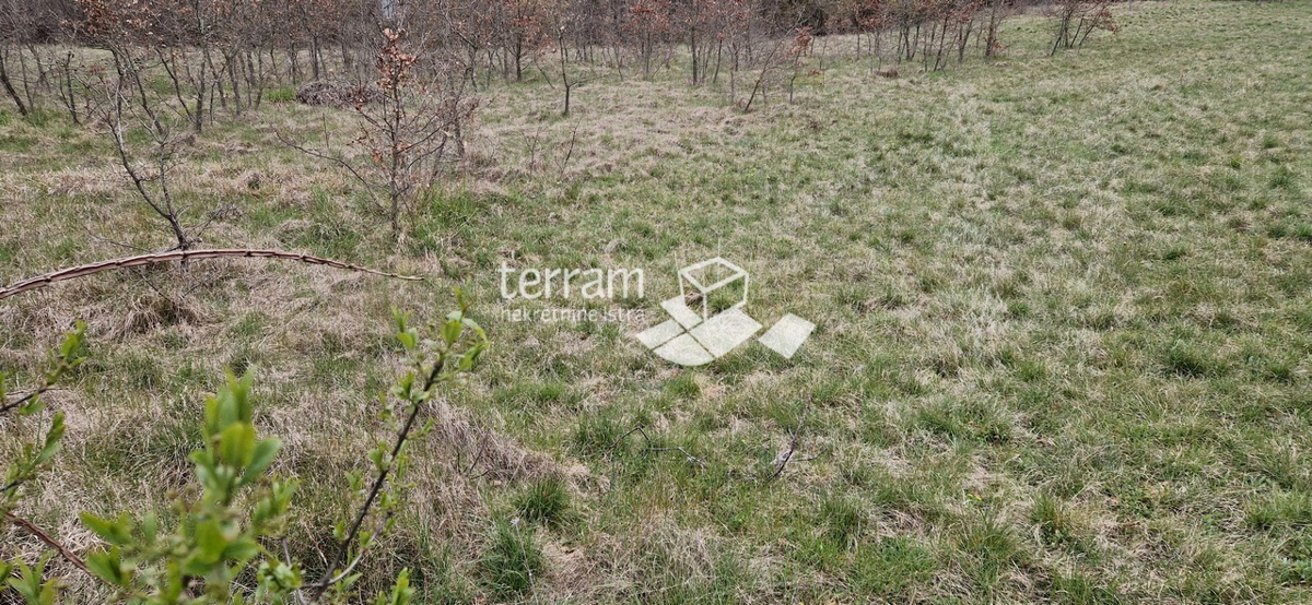 Istria, Barban, terreno edificabile 3007m2 in vendita