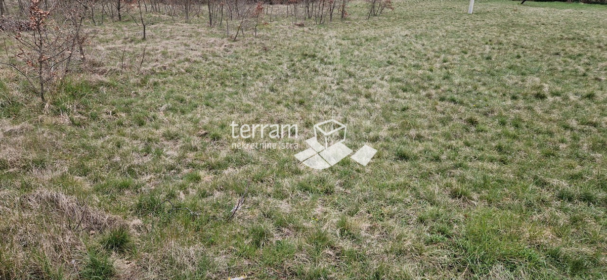 Istria, Barban, terreno edificabile 3007m2 in vendita